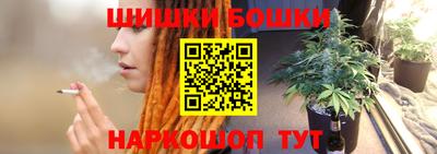 хмурый Бийск