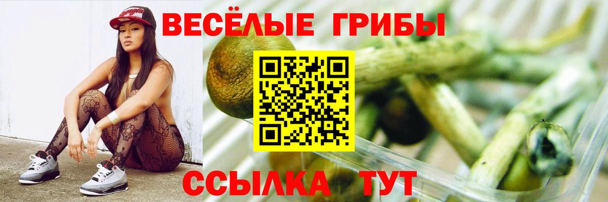 Галлюциногенные грибы прущие грибы Керчь